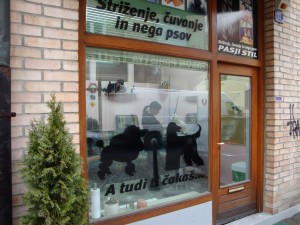 Featured image of post Bolje kot meni!