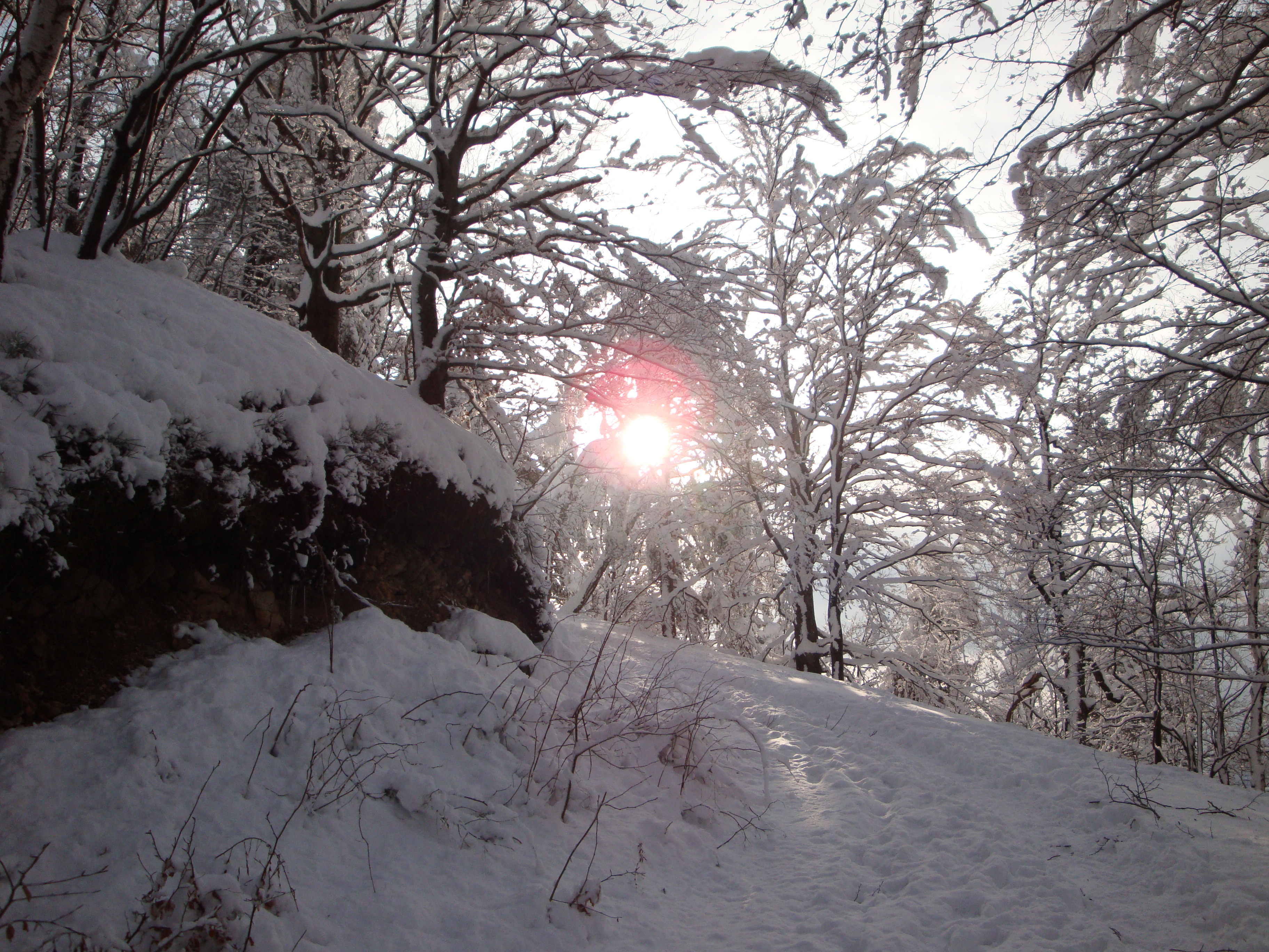 Featured image of post Zadnji dan veselega januarja