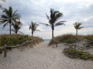 Featured image of post Florida