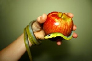 Varnost proti razburljivosti