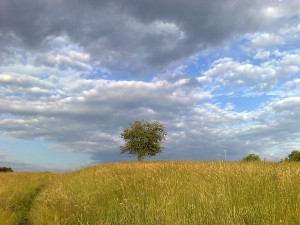 Featured image of post Nikogašnja zemlja
