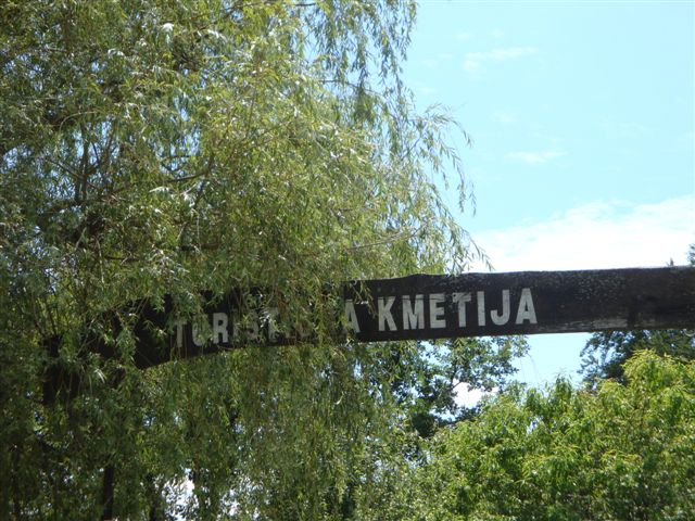 Okroglice in ribja pojedina