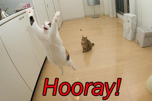 Hooray