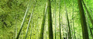 Featured image of post Nedelja