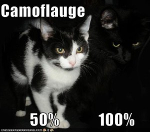 Featured image of post icanhascheezburger.com