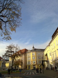 Krožišče v središču in vhod v šoping center