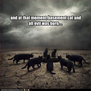 funny-pictures-basement-cat-is-born