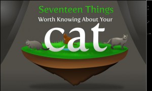 Featured image of post Cats