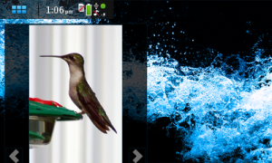 Featured image of post Nokia N900 Maemo z izleta