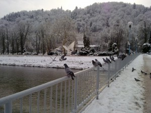 Dan BREZ računalnika