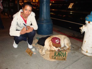 Featured image of post San Francisco workin dog