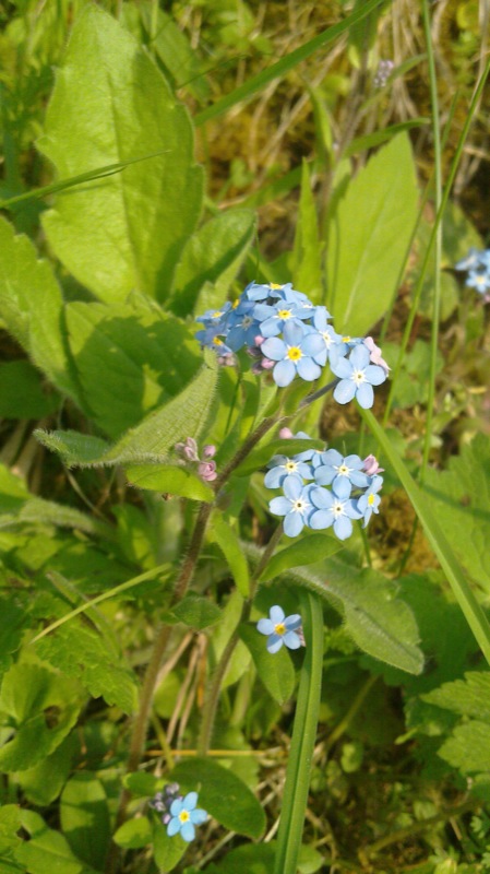 27. april