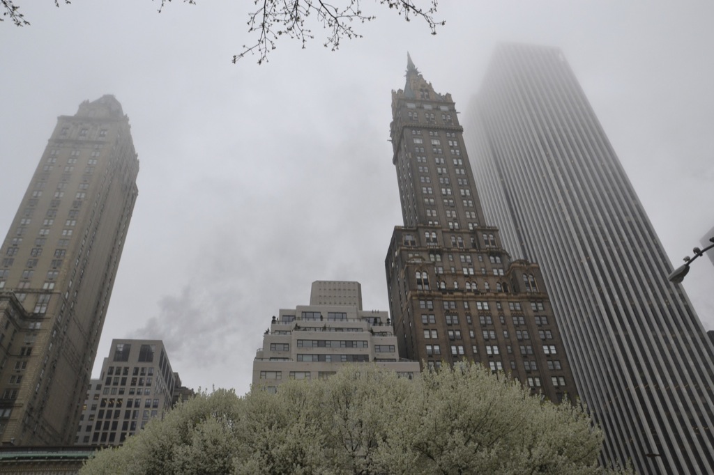 Central Park - zelena oaza Manhattna