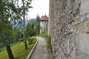 Pavus - Grad Tabor Laško