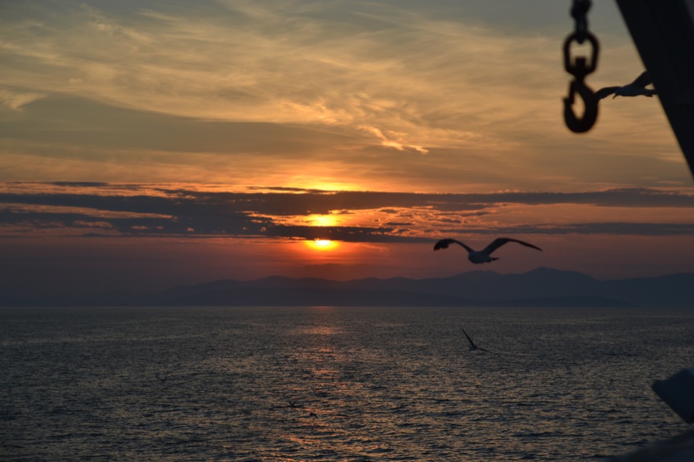 Dalmacija - Bol na Braču