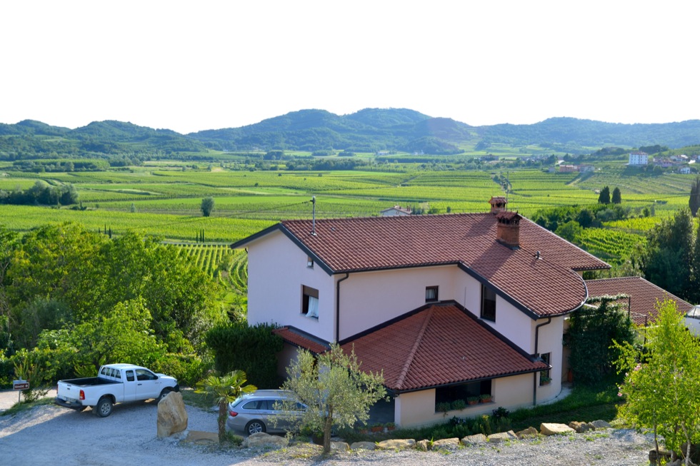 Featured image of post Vinska klet Edija Simčiča - degustacija