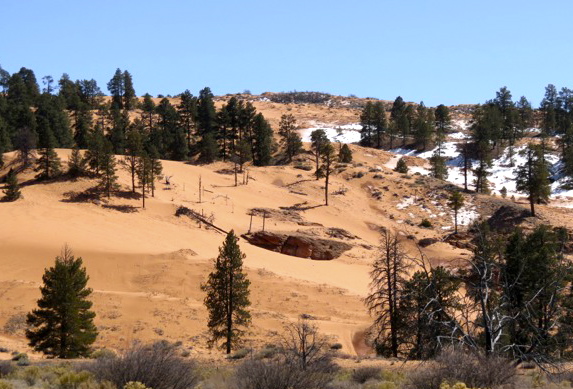 Naključni obisk - Coral Pink Sand Dunes 