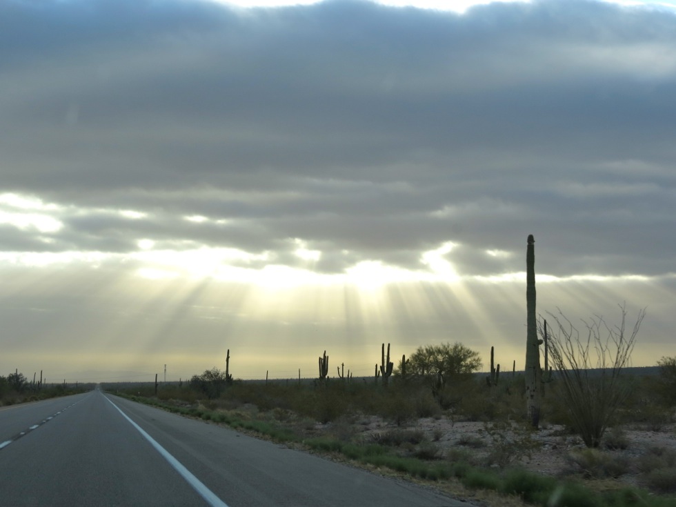 Saguaro ali neprijetno velik kaktus