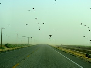 Salton sea in Yuma
