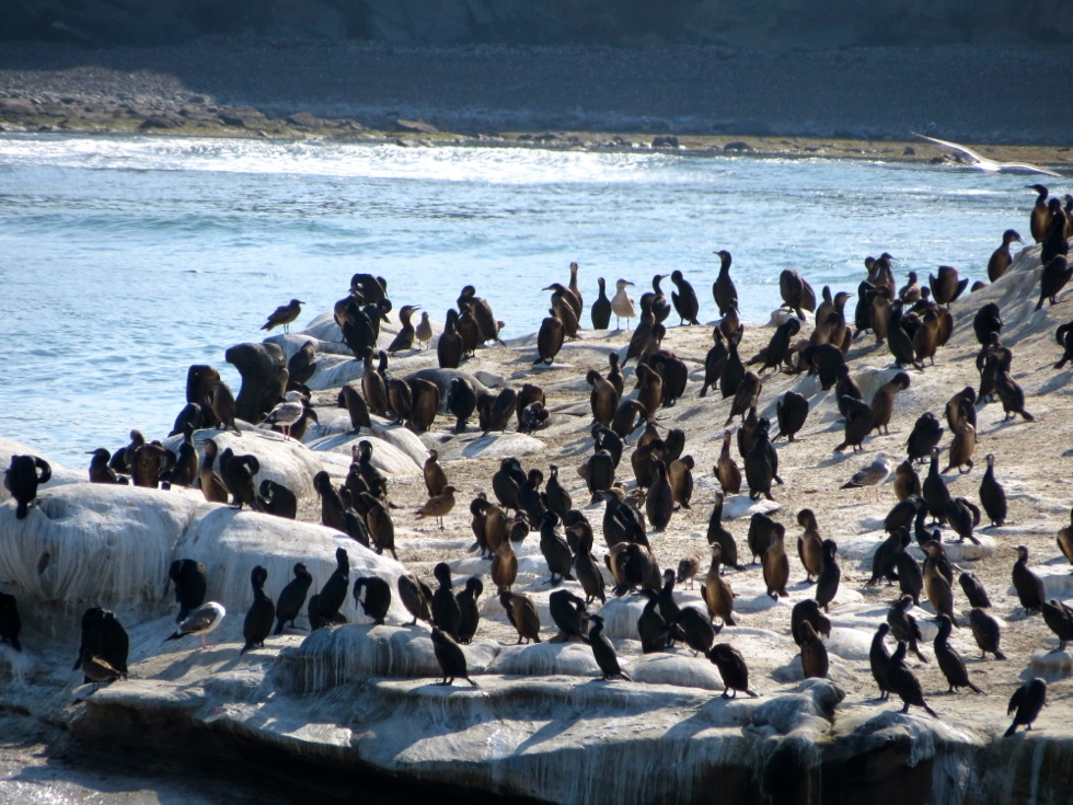 La Jolla