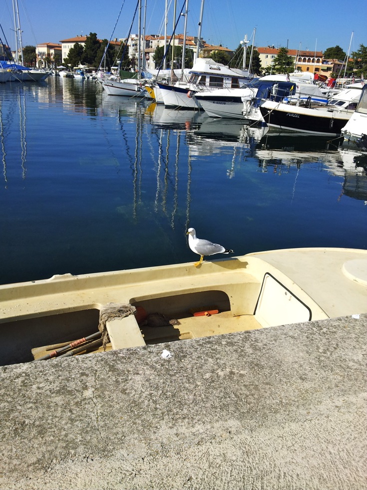 Poreč - izlet do sosedov