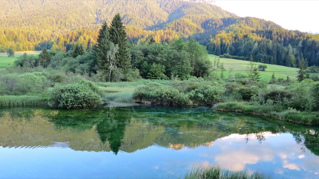 Zelenci in Jezero Jasna