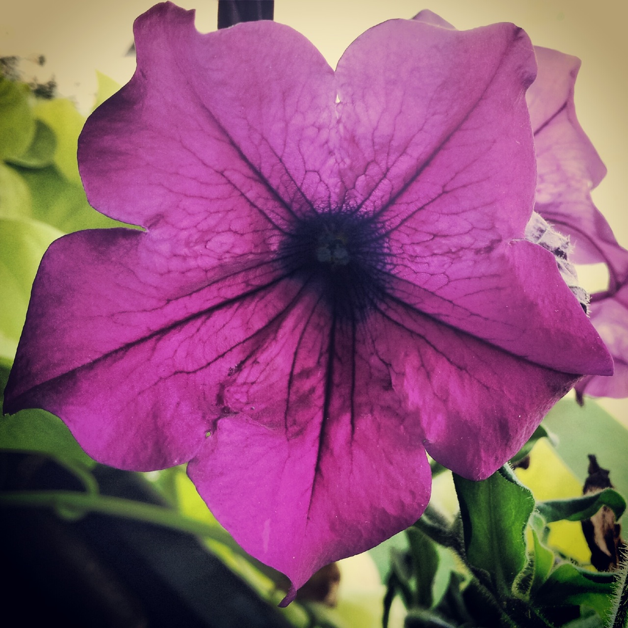 Featured image of post Igračkanje z Instagram-om
