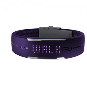 Polar Loop 1.leto